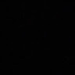 Meet your Posher, Layla